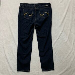 Grane Jeans embroidered pockets juniors plus 18W straight leg
